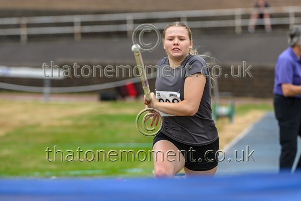 Sen25SUN-928791 - Field Female Set Two