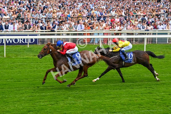280625-Race 1-Archivist-9964 - Race 1 1.55pm Al Basti Equiworld Dubai Mile Handicap