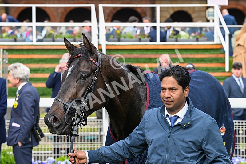 150526-Race 7-Portcullis-8941 - Race 7 5.15pm Darley EBF 'Confined' Novice Stakes