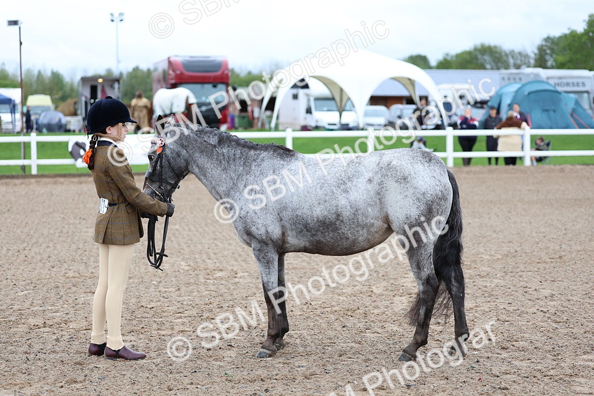 SBM_00250 - Class 13 - Young Handler