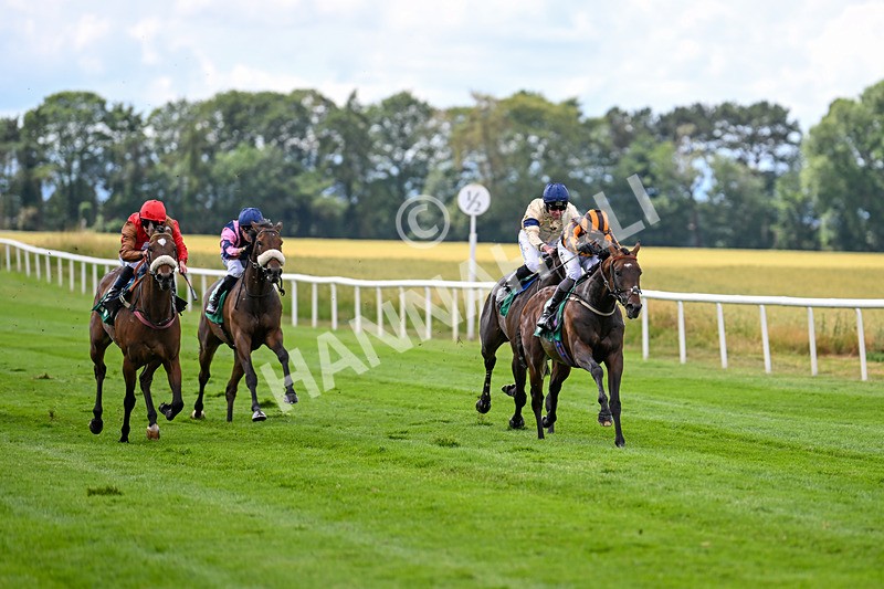 020725-Race 1-Dandy Style-1758 - Race 1