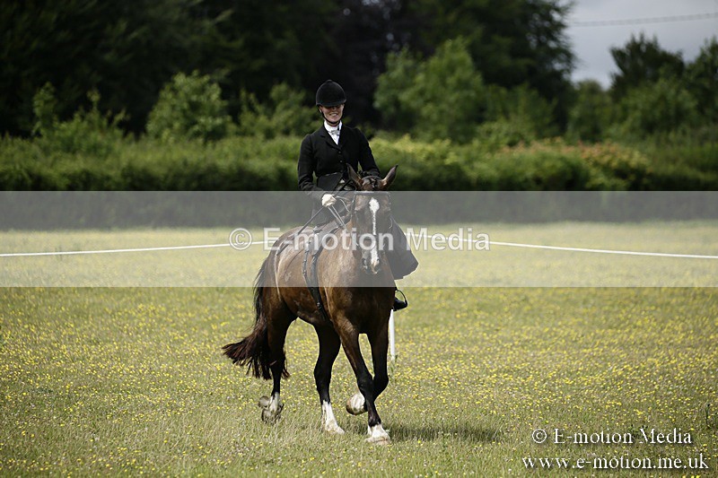 BVR160717-1632 - Side Saddle Classes 16/07/17
