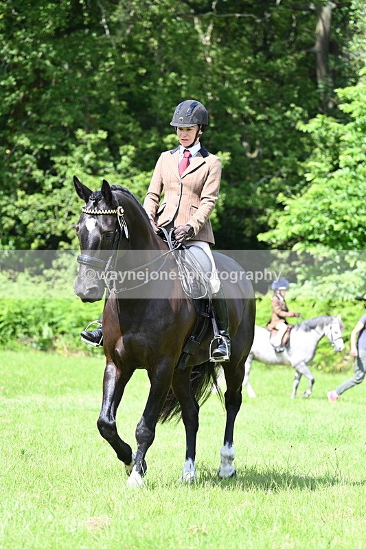 WJ7_1097 - Class 11 Condition & Turnout