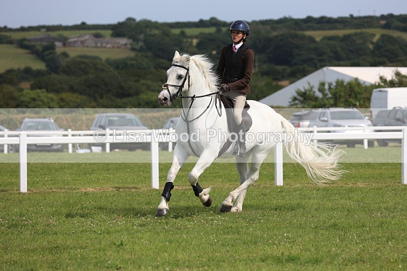 JPP_4013 - Class 24: Working Hunter 90cm