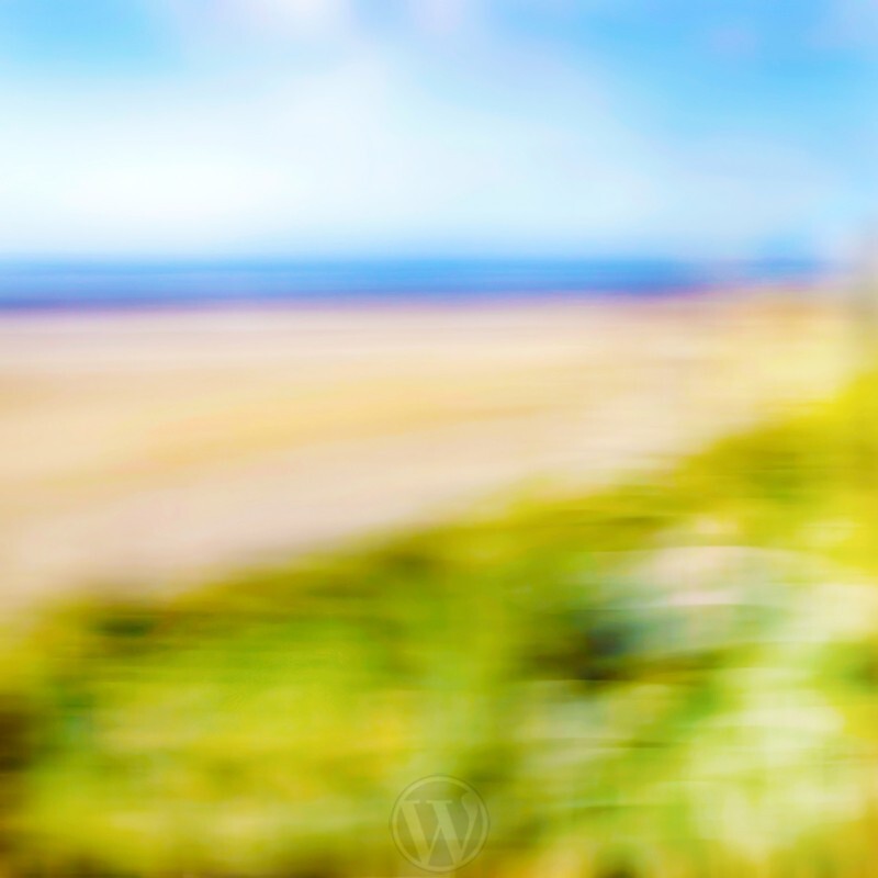 Fresh Ayr Abstract - Abstracts
