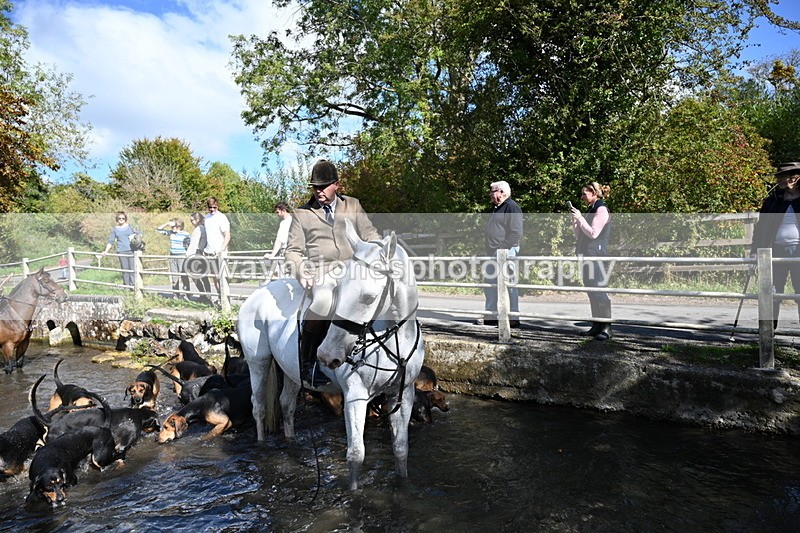 WJ7_5998 - Hounds Water Crossing
