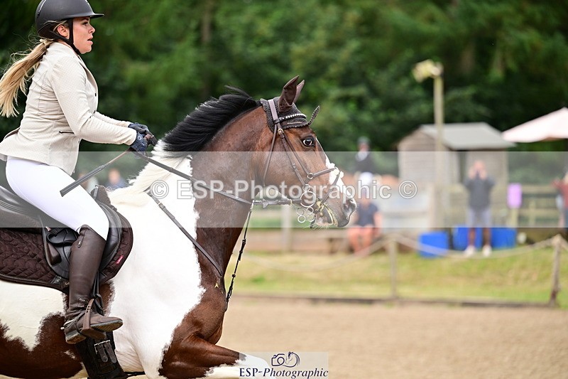 260704A-092709-12293 - Cls 36 85cm Nat Am Q