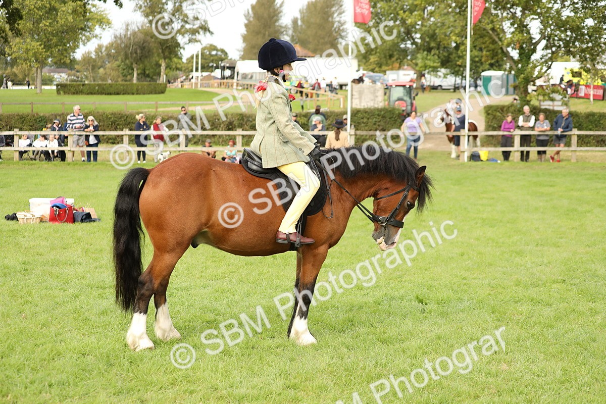 SBM_71546 - S41 - Ridden Equitation (Best Rider)