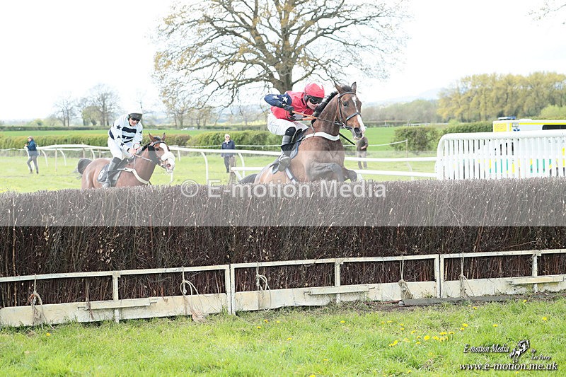 PtP 180426 545 - Worcestershire Hunt PtP Chaddesley Corbett 18/04/26