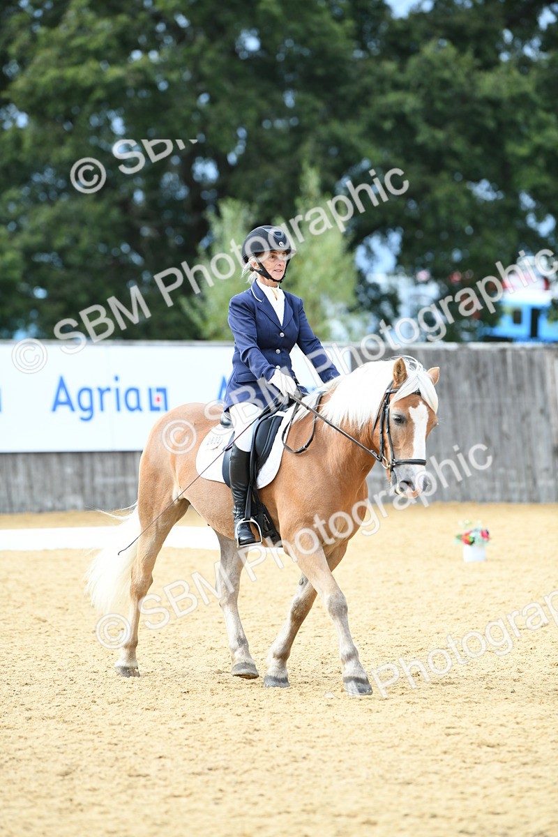 SBM_10888 - D28 Elementary Taster Elementary 42