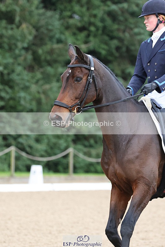 241024-092952-01293 - 205-Alderney.Street-KYTANO