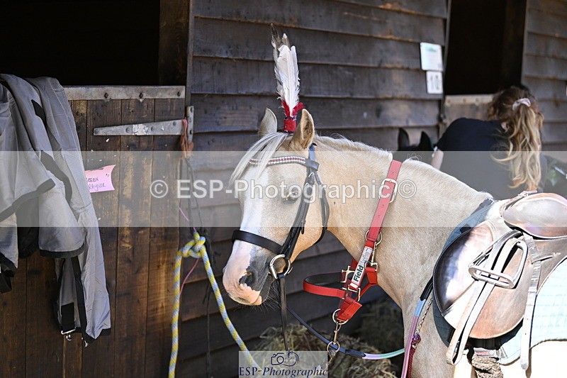 240728B-093532-00066 - Sunday Stable Shots and Fancy Dress