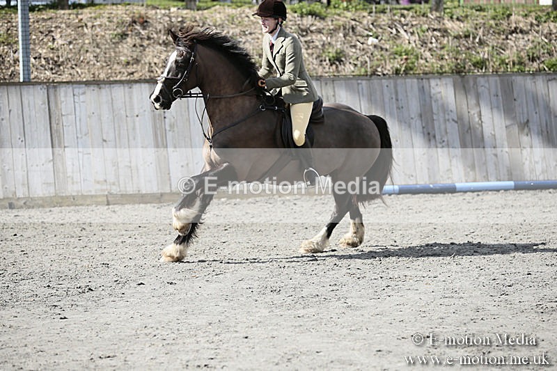 BVRC SJ 170319 448 - Bourne Valley Riding Club Showjumping 17/03/19