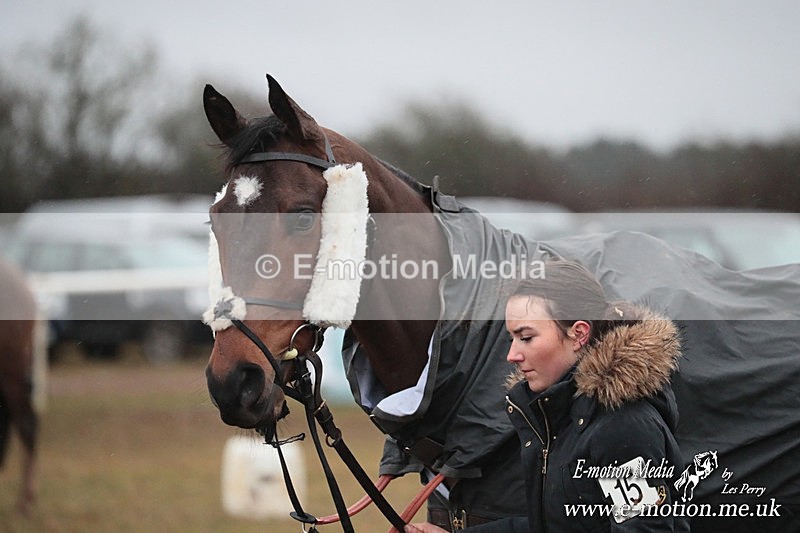 PtP 260125 969 - Cocklebarrow Point-to-Point racing with the Heythrop Hunt 26/01/25