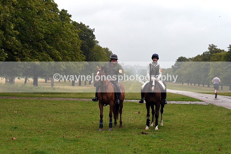 TT3_8036 - Time at Crossing 09:15 to 10:15