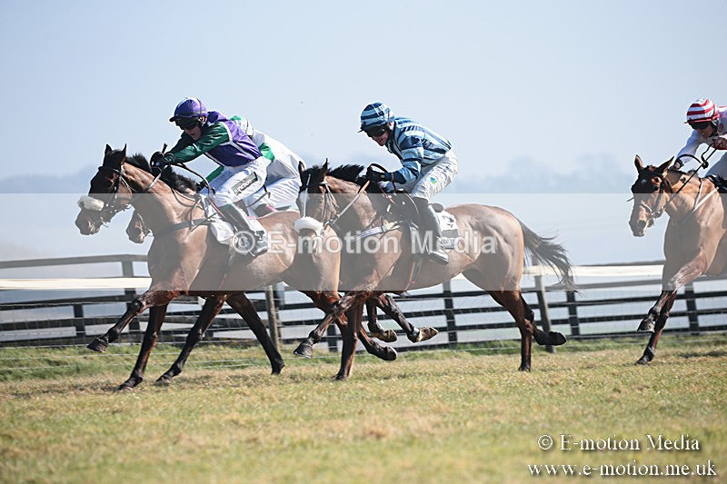 PtP 230219 99 - Vine & Craven Point-To-Point - Barbury 23/02/19