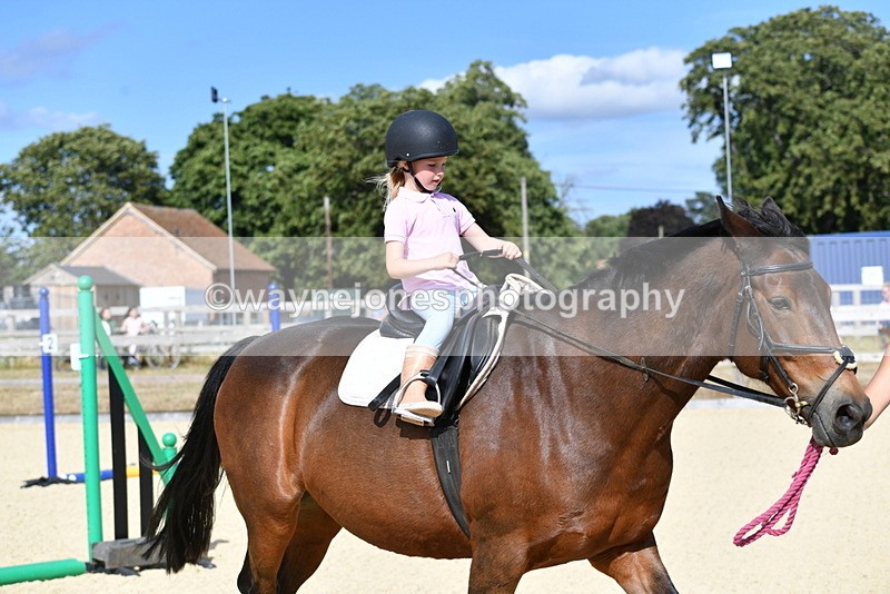 WJ5_5512 - Poles on the Floor