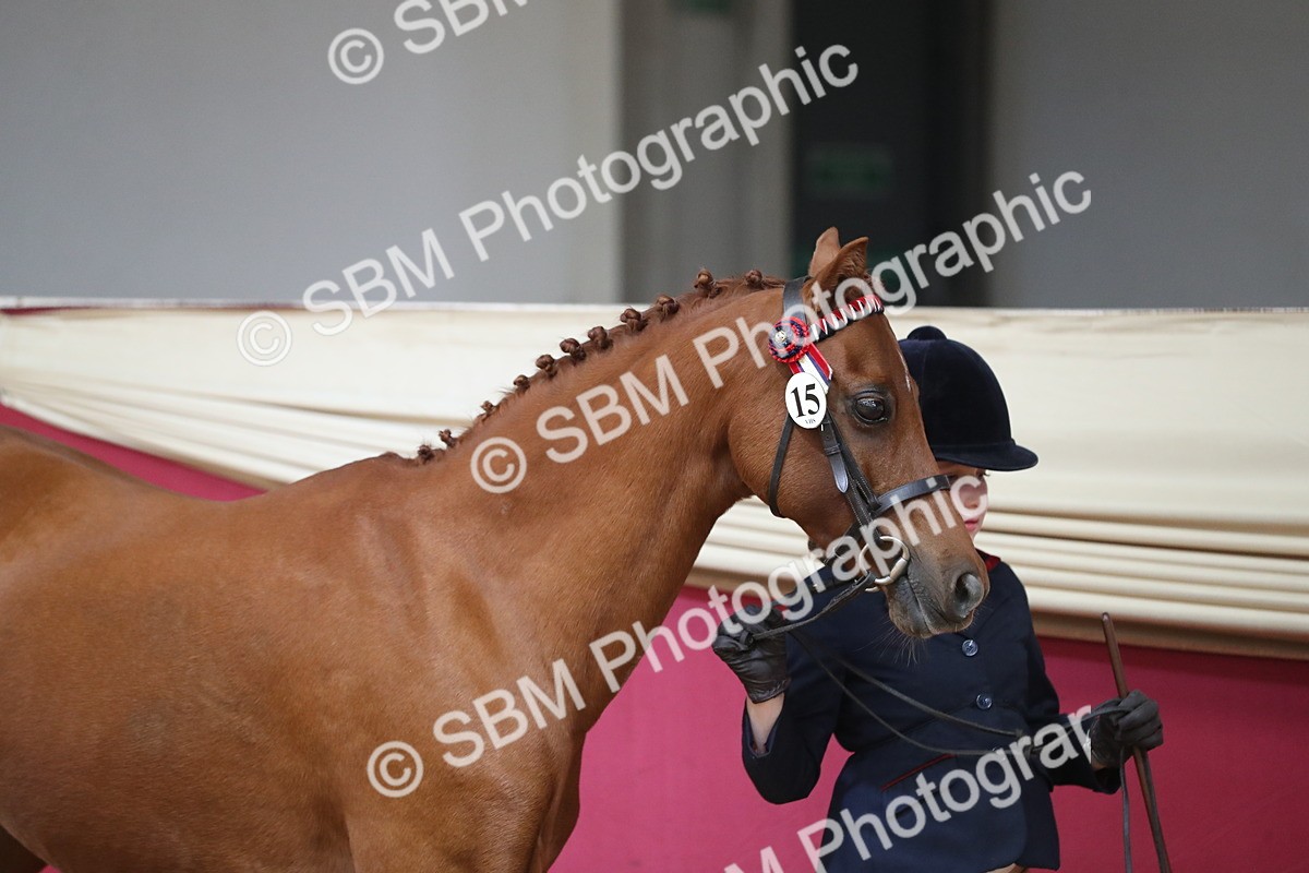 SBM_06220 - Class 9R Regional- IH Pre Vet