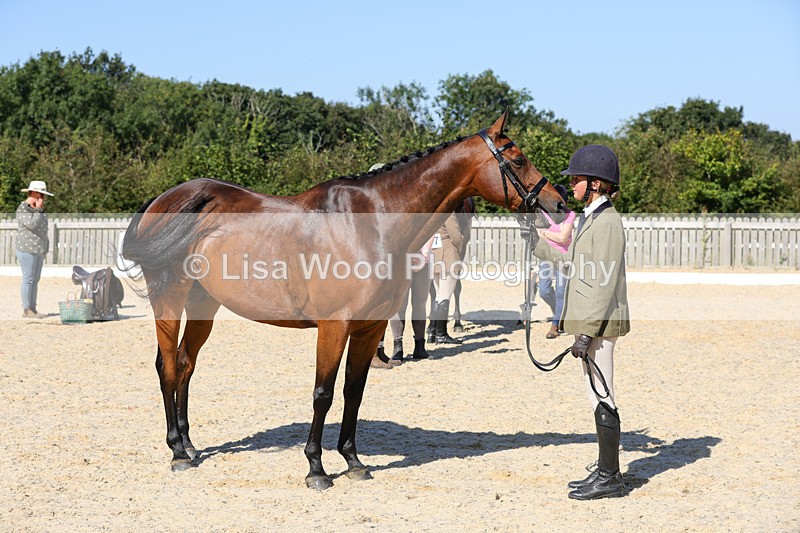 1X9A7925 - Class 10:Riding Horse