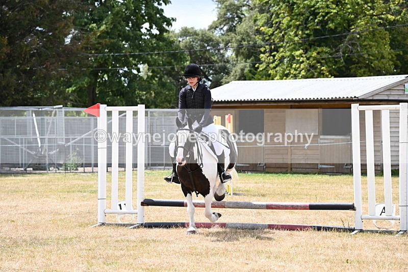 WJ6_5339 - Class 12 Minimus Jumping 45cm