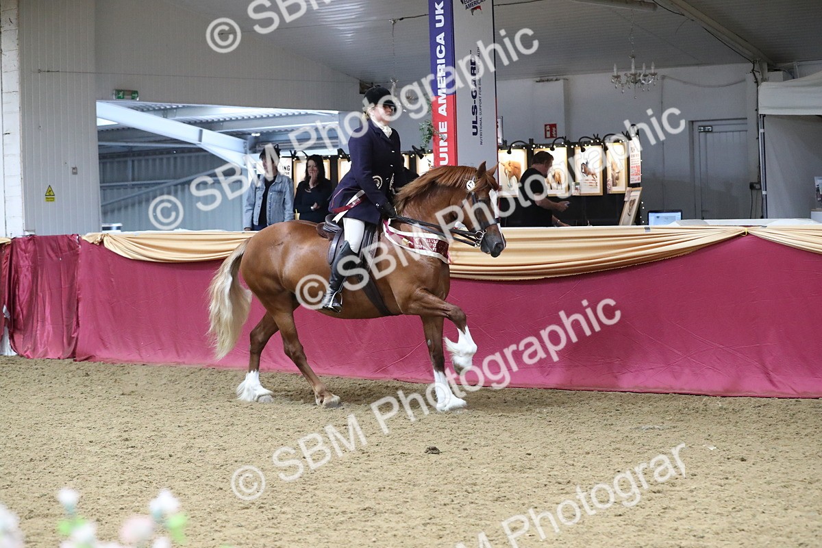 SBM_16546 - Class 502 M&M Ridden Supreme Final