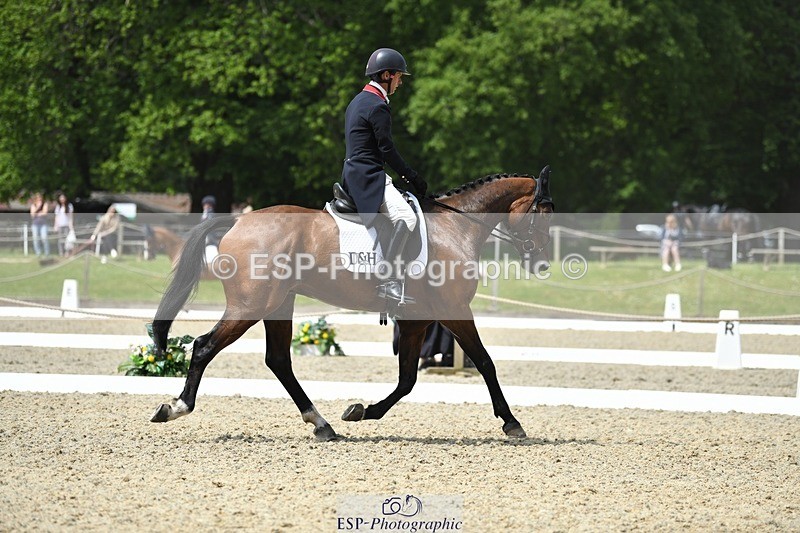 230525-115153-01916 - 104-GALAKIS_DE_L'OCEAN-Harry_Meade-WEDTrotUp+DR