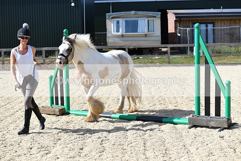 WJ5_5457 - Poles on the Floor
