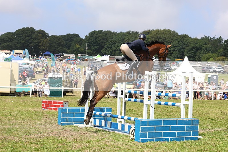3E7A3419 - Class 10: Senior Foxhunter/1.20 open