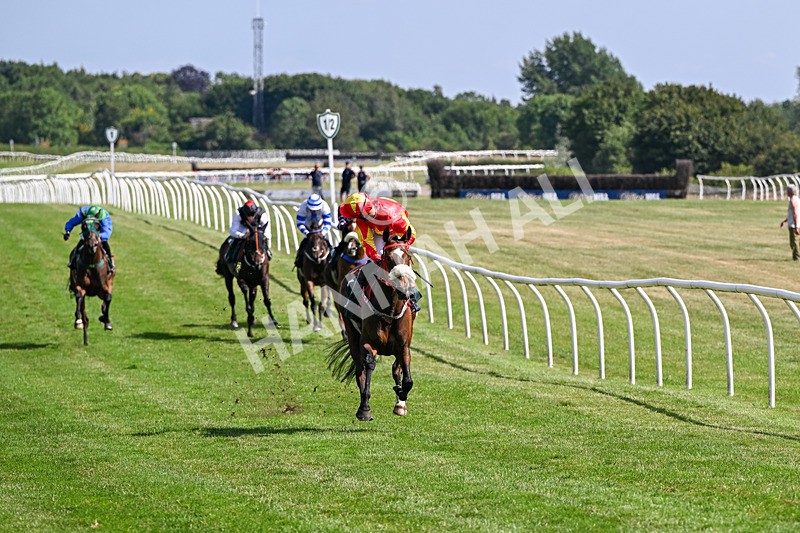 080726-Race 5-Sugarpiehoneybunch-7538 - Race 5 16.00pm Bet At racingtv.com Handicap