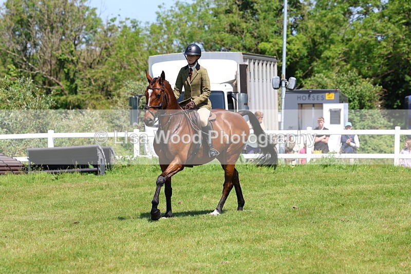 3E7A7243 - Class 30: Novice Working Hunter