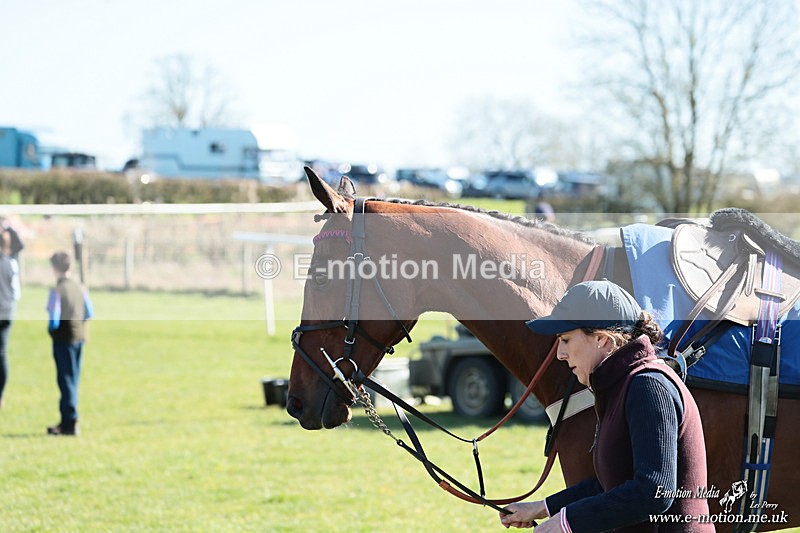 PtP 210326 199 - VWH Cirencester Races 21/03/26