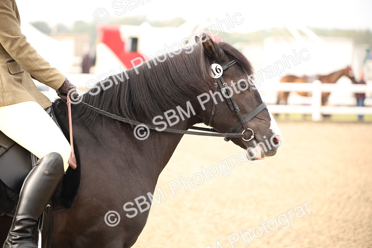 SBM_09758 - Class 401 Riding Club Pony