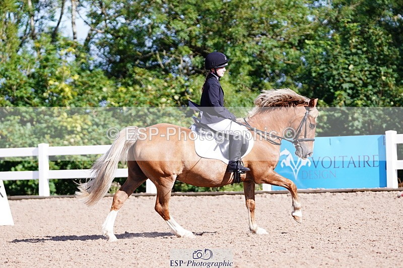 240809A-091254-00180 - Dressage Competition