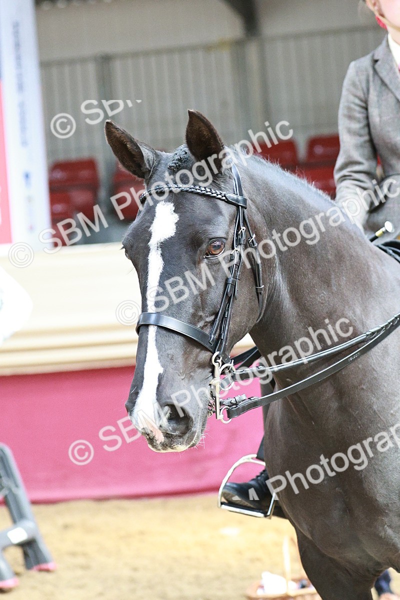 SBM_07058 - Class 10R - Regional Ridden Diamond