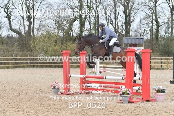 BPP_0520 - CLASS 3  Club/ Unaffiliated 90cms Open