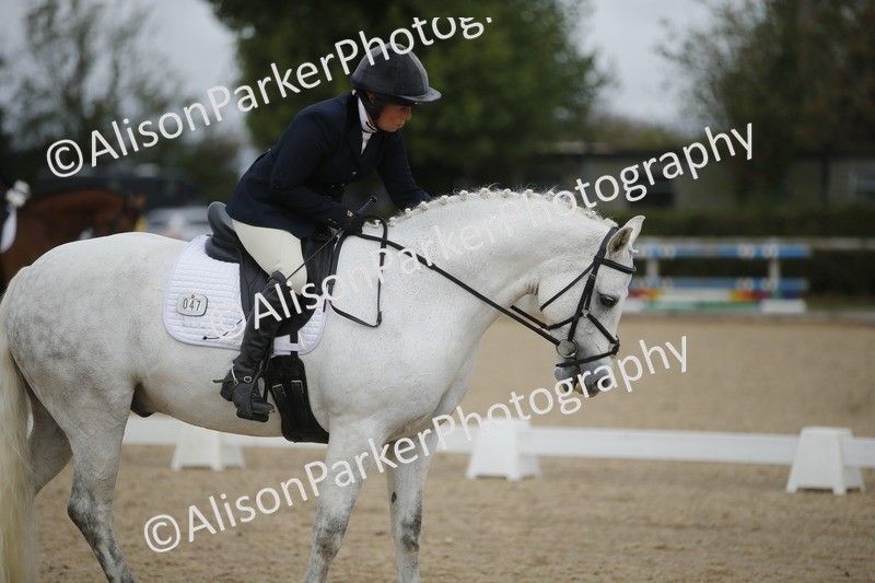 20260913-0282 - Class 3 - Novice 5