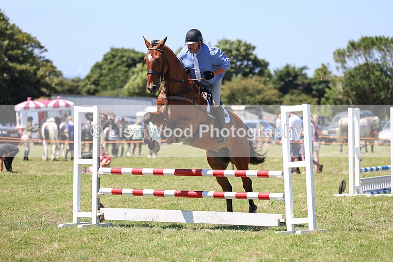 3E7A5563 - Class 9: Senior British Novice/90cm open