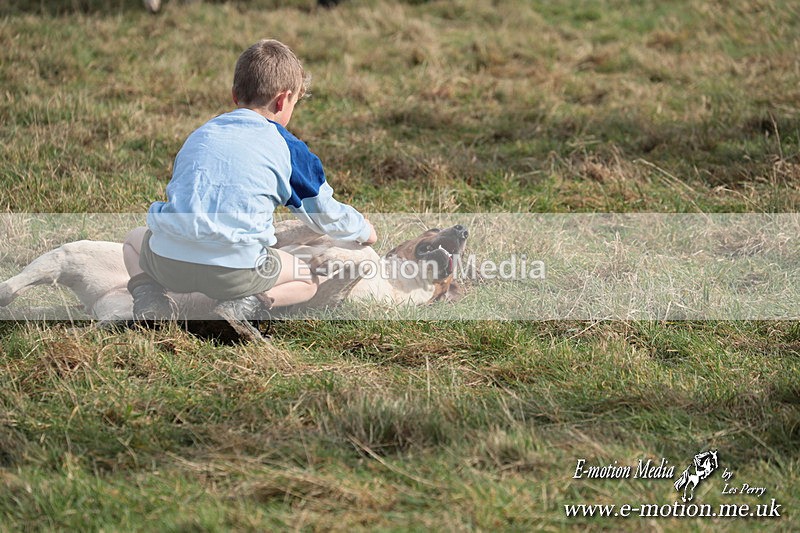 PtP 220225 364 - Kimblewick Point-to-Point  Kingston Blount 22/02/25