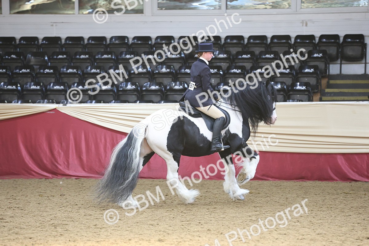 SBM_23786 - class 906 - Supreme Final - Ridden Pre Vet