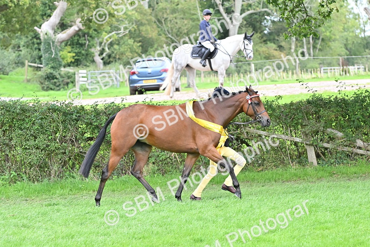 SBM_64984 - In Hand Pony & Younstock Supreme Championship