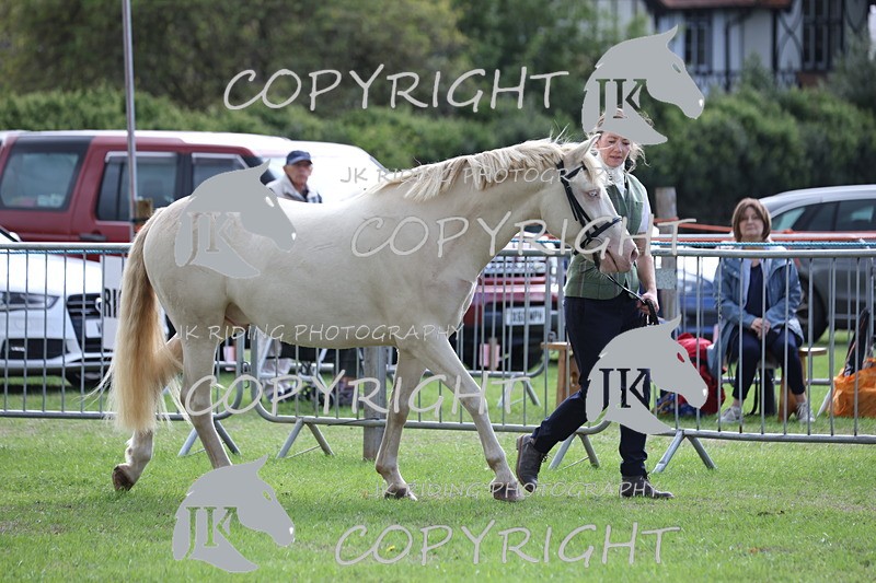 APP_2969 - Class 10a/b M&M in hand