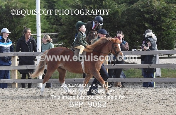 BPP_9082 - RING 2 - M&M