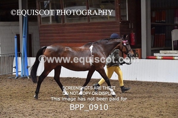 BPP_0910 - RING 2