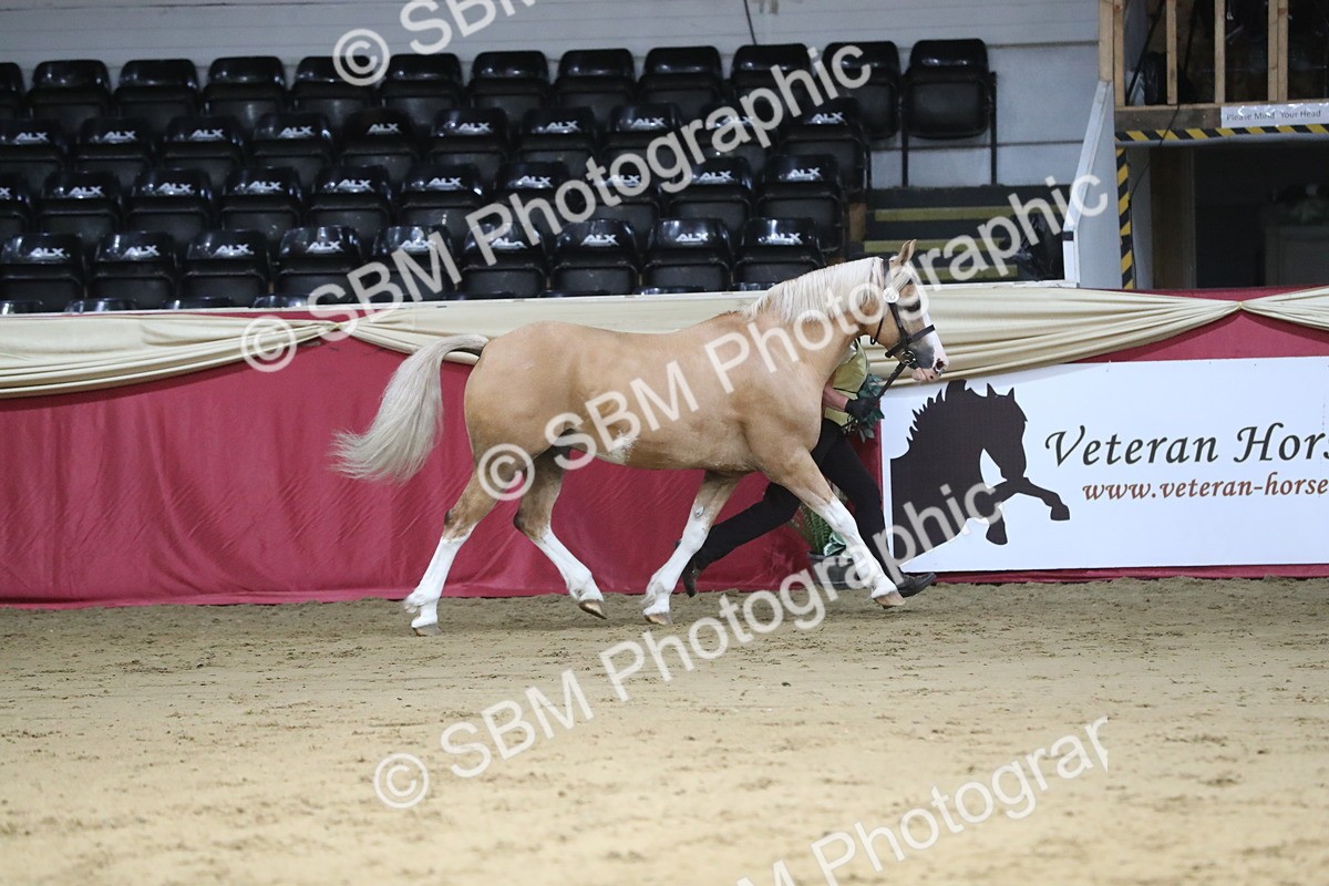 SBM_06285 - Class 9R Regional- IH Pre Vet