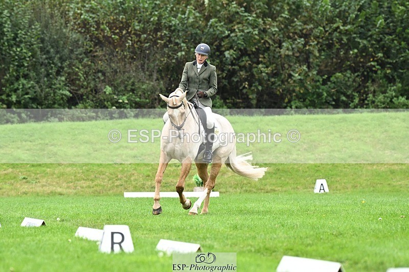 241024-125206-03537 - 519-Jane.Rogers-CORRIEVIEW.MERLIN.MAGIC