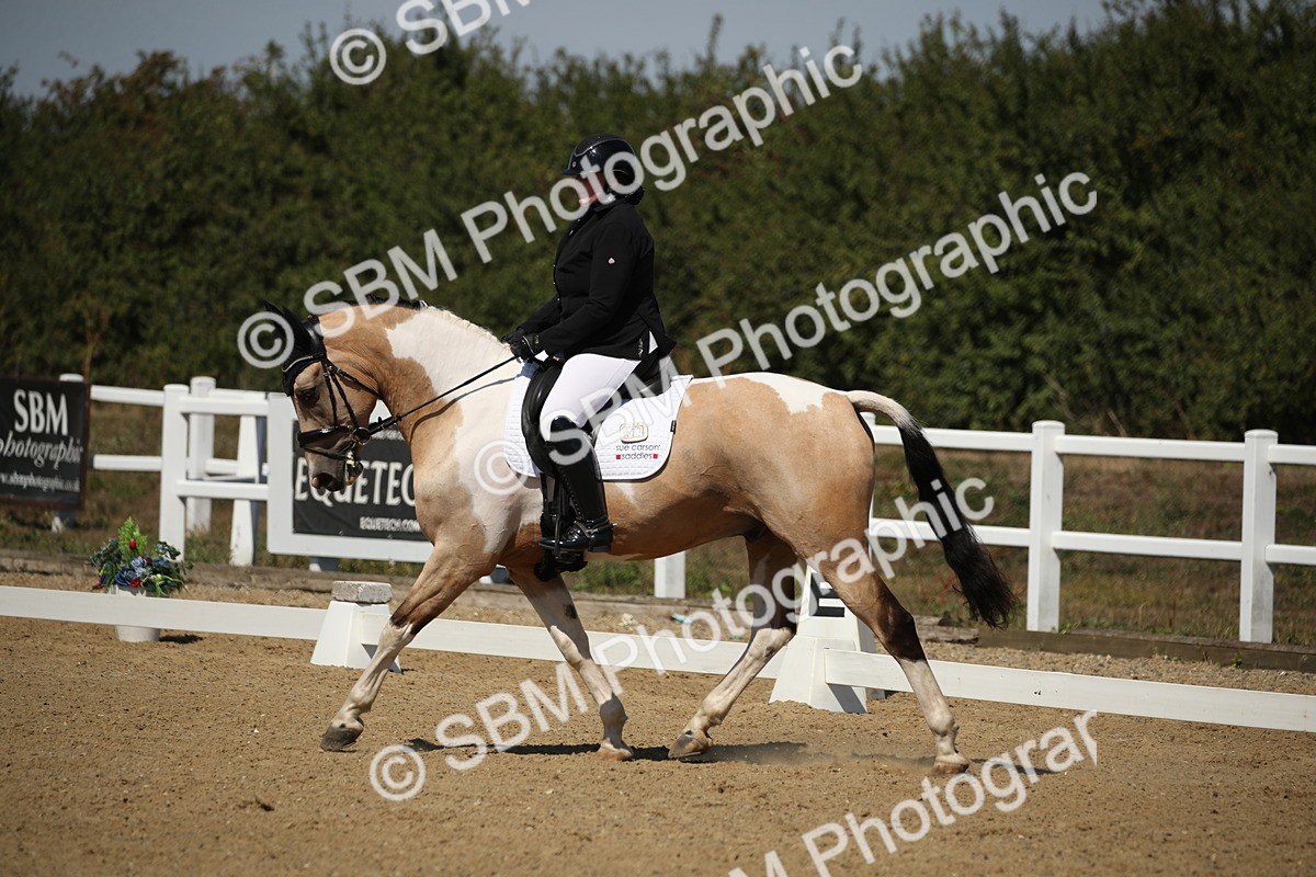 SBM_005074 - Class 11 - Novice 5 - 11.41-12.58