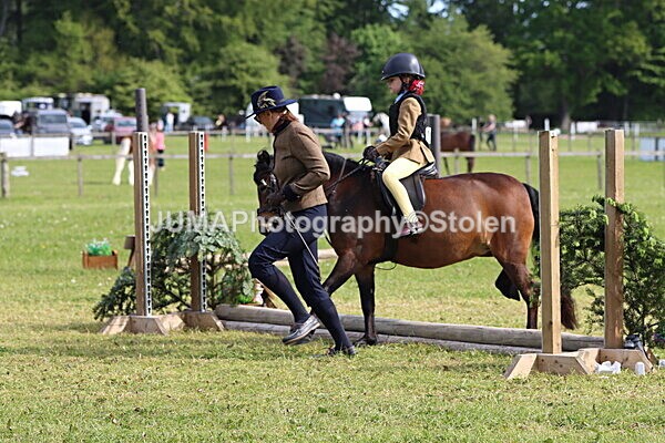 IMG_2155 - Working Hunter