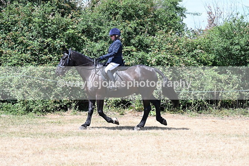 WJ7_2745 - Class 7 Riding Club Show Horse