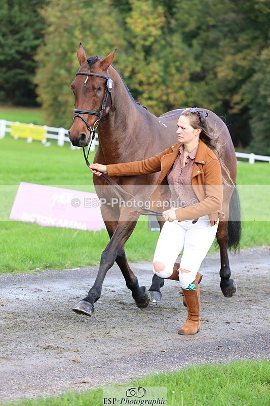 251026A-103207-23078 - E-384-Holly.Horton