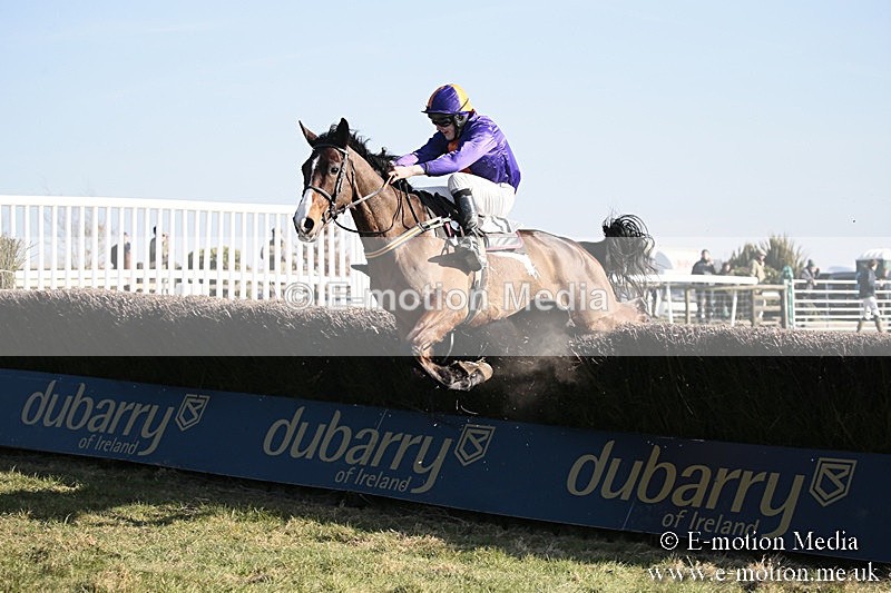 PtP 240218 367 - Vine & Craven Hunt Point-to-Point Barbury racecourse 24/02/18